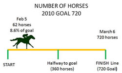 Night at Races graph