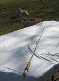 Fly Rod